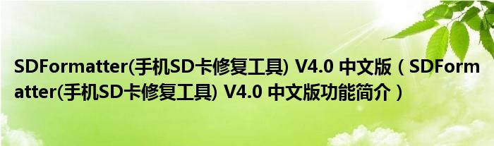 SDFormatter(手机SD卡修复工具) V4.0 中文版【SDFormatter(手机SD卡修复工具) V4.0 中文版功能简介】