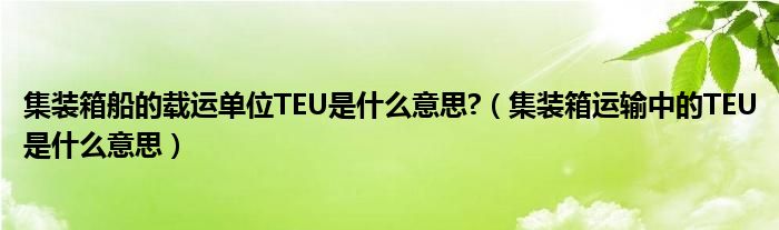 集装箱船的载运单位TEU是什么意思?【集装箱运输中的TEU是什么意思】