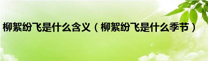 柳絮纷飞是什么含义【柳絮纷飞是什么季节】