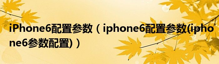 iPhone6配置参数【iphone6配置参数(iphone6参数配置)】