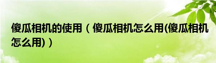 傻瓜相机的使用【傻瓜相机怎么用(傻瓜相机怎么用)】