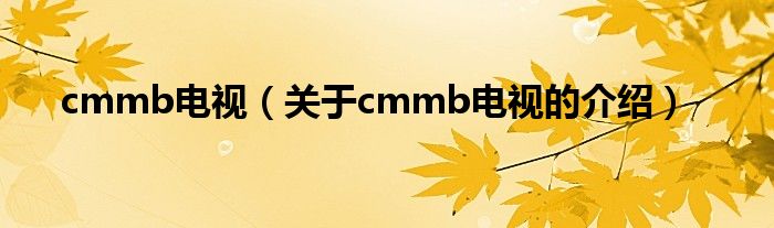 cmmb电视【关于cmmb电视的介绍】