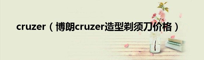 cruzer【博朗cruzer造型剃须刀价格】