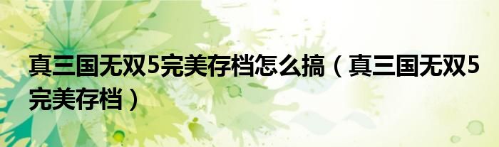 真三国无双5完美存档怎么搞【真三国无双5完美存档】