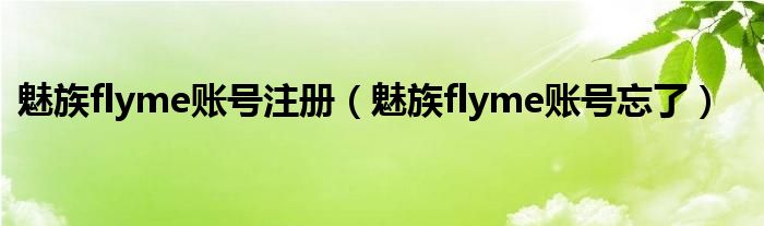 魅族flyme账号注册【魅族flyme账号忘了】