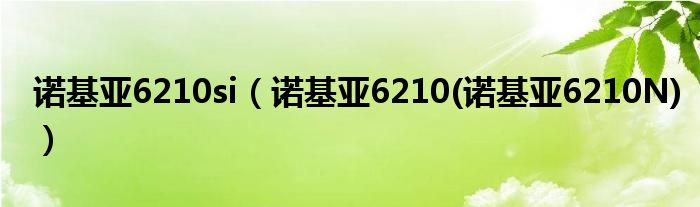 诺基亚6210si【诺基亚6210(诺基亚6210N)】