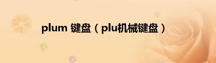 plum 键盘【plu机械键盘】