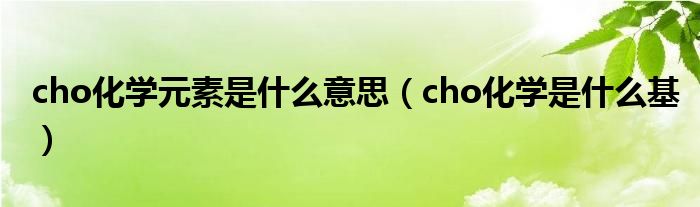 cho化学元素是什么意思【cho化学是什么基】