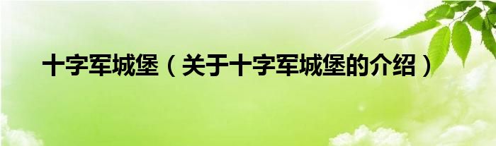 十字军城堡【关于十字军城堡的介绍】