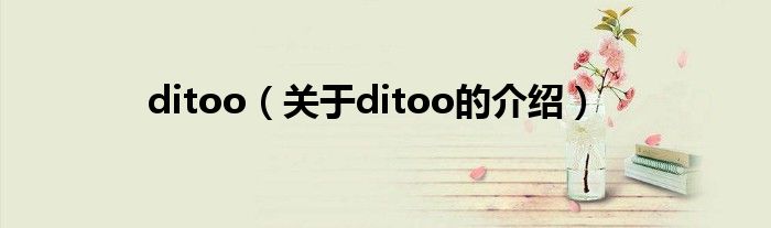 ditoo【关于ditoo的介绍】