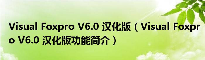 Visual Foxpro V6.0 汉化版【Visual Foxpro V6.0 汉化版功能简介】