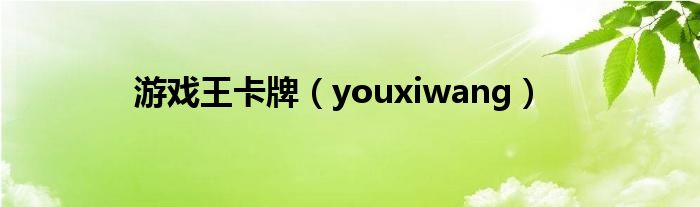 游戏王卡牌【youxiwang】