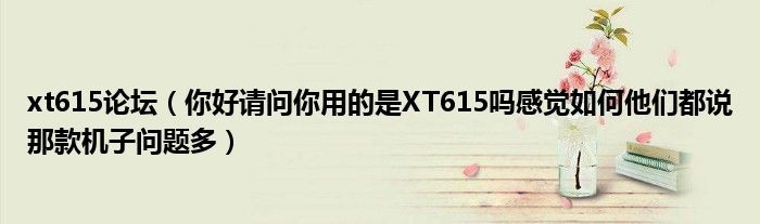 xt615论坛【你好请问你用的是XT615吗感觉如何他们都说那款机子问题多】