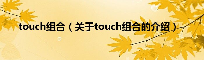 touch组合【关于touch组合的介绍】