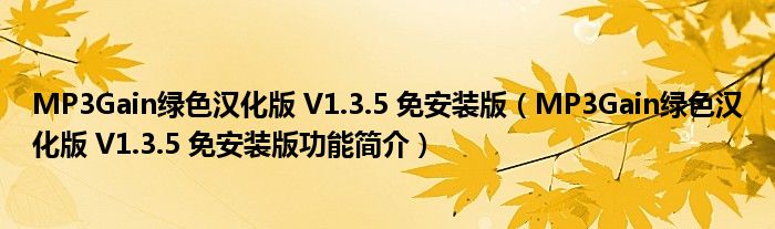 MP3Gain绿色汉化版 V1.3.5 免安装版【MP3Gain绿色汉化版 V1.3.5 免安装版功能简介】