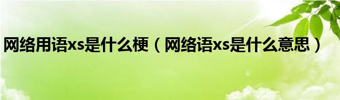 网络用语xs是什么梗【网络语xs是什么意思】