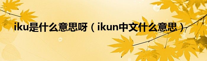 iku是什么意思呀【ikun中文什么意思】