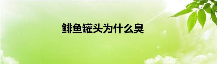 鲱鱼罐头为什么臭