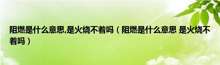 阻燃是什么意思,是火烧不着吗【阻燃是什么意思 是火烧不着吗】