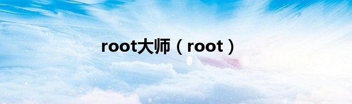 root大师【root】