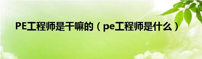 PE工程师是干嘛的【pe工程师是什么】