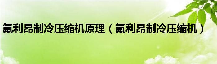 氟利昂制冷压缩机原理【氟利昂制冷压缩机】