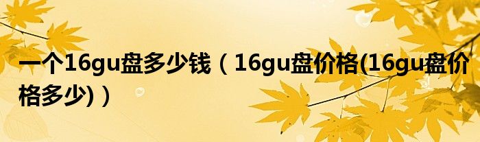 一个16gu盘多少钱【16gu盘价格(16gu盘价格多少)】