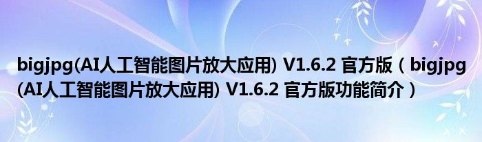 bigjpg(AI人工智能图片放大应用) V1.6.2 官方版【bigjpg(AI人工智能图片放大应用) V1.6.2 官方版功能简介】