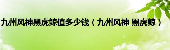 九州风神黑虎鲸值多少钱【九州风神 黑虎鲸】