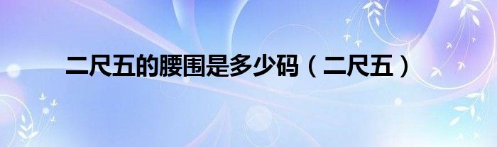 二尺五的腰围是多少码【二尺五】