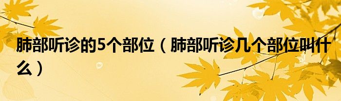 肺部听诊的5个部位【肺部听诊几个部位叫什么】