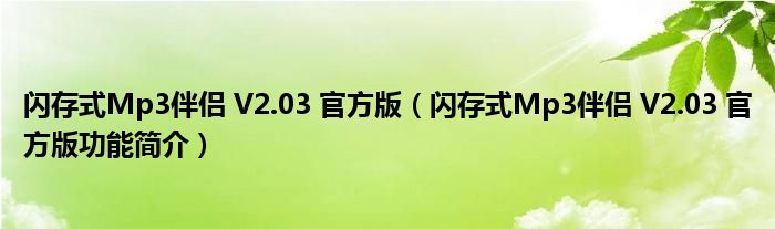 闪存式Mp3伴侣 V2.03 官方版【闪存式Mp3伴侣 V2.03 官方版功能简介】