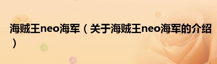 海贼王neo海军【关于海贼王neo海军的介绍】