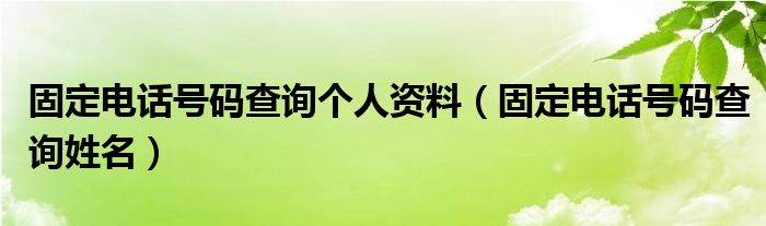 固定电话号码查询个人资料【固定电话号码查询姓名】