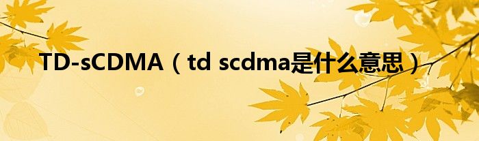 TD-sCDMA【td scdma是什么意思】