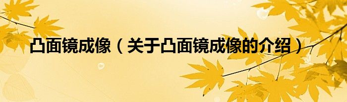 凸面镜成像【关于凸面镜成像的介绍】