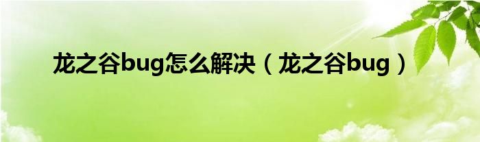 龙之谷bug怎么解决【龙之谷bug】