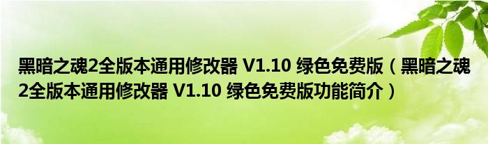 黑暗之魂2全版本通用修改器 V1.10 绿色免费版【黑暗之魂2全版本通用修改器 V1.10 绿色免费版功能简介】