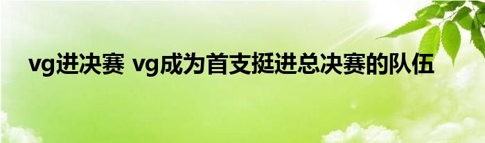 vg进决赛 vg成为首支挺进总决赛的队伍