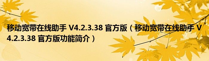 移动宽带在线助手 V4.2.3.38 官方版【移动宽带在线助手 V4.2.3.38 官方版功能简介】