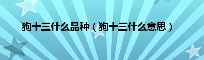 狗十三什么品种【狗十三什么意思】