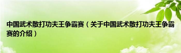 中国武术散打功夫王争霸赛【关于中国武术散打功夫王争霸赛的介绍】