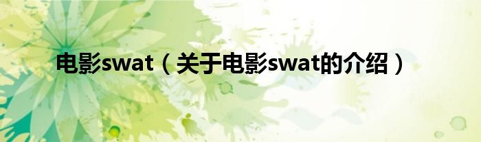 电影swat【关于电影swat的介绍】