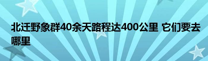 北迁野象群40余天路程达400公里 它们要去哪里