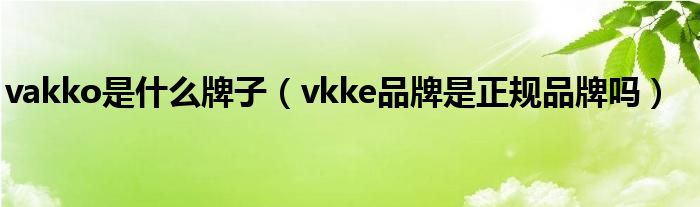 vakko是什么牌子【vkke品牌是正规品牌吗】