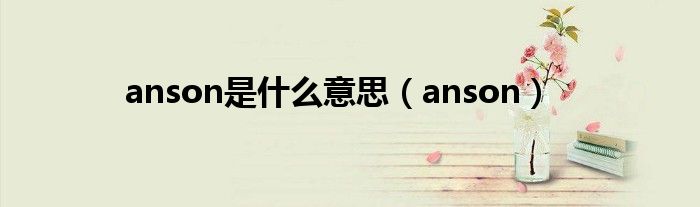 anson是什么意思【anson】