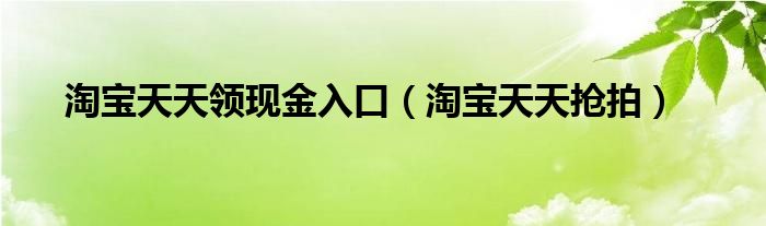 淘宝天天领现金入口【淘宝天天抢拍】