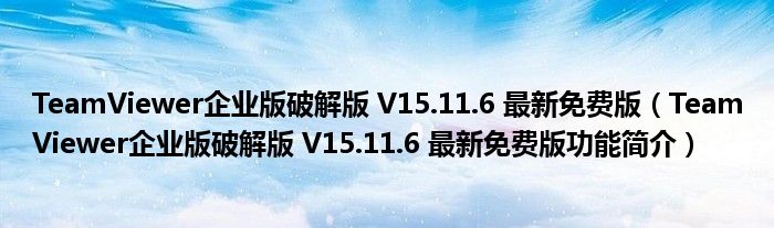 TeamViewer企业版破解版 V15.11.6 最新免费版【TeamViewer企业版破解版 V15.11.6 最新免费版功能简介】