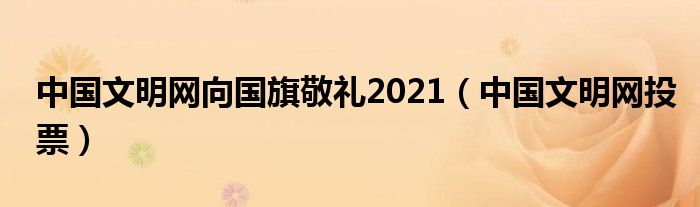 中国文明网向国旗敬礼2021【中国文明网投票】