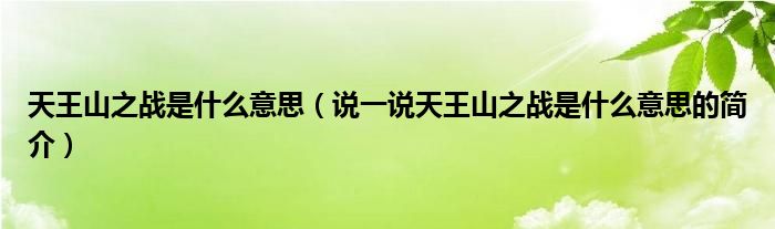 天王山之战是什么意思【说一说天王山之战是什么意思的简介】